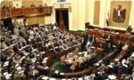 البرلمان المصری یعبّر عن قلقه  تجاه 