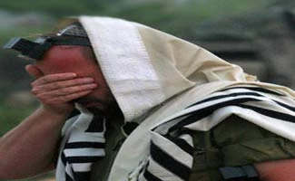 سگی که دمش را بین پاهایش پنهان می کند