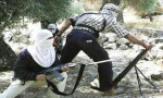 اربعة شهداء من 
