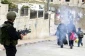 فلسطین وحصیلة عام 2007
