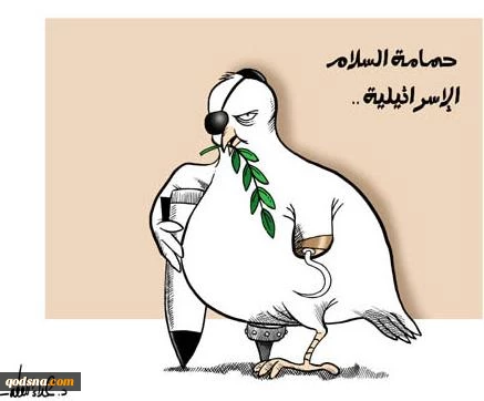 حمامة السلام الاسرائیلیة