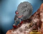 الوفاق الوطنی