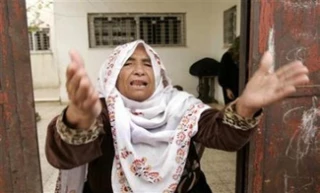 382 Palestinians martyred since beginning of 07