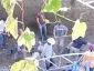 نفق إسرائیلی جدید قرب المسجد الأقصى
