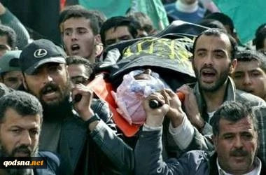 17 Palestinians martyred in Gaza