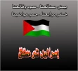 الکتاب والناشرون المصریون یقاطعون معرض باریس للکتاب