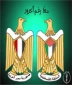 معاً رغم الحدود