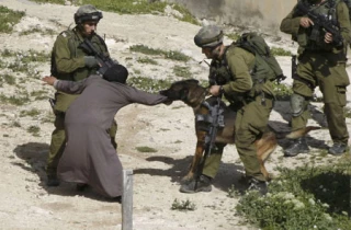 المحرقة الفلسطینیة فی الفکر الغربی