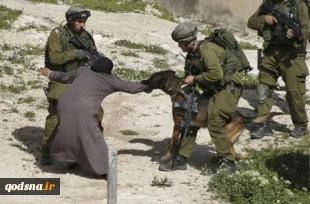 المحرقة الفلسطینیة فی الفکر الغربی