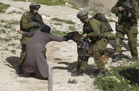 المحرقة الفلسطینیة فی الفکر الغربی