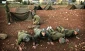 Israel trying everything to improve morale