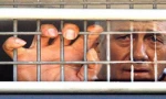 Olmert again grilled in corruption probe
