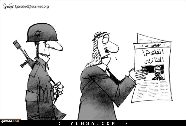 انفلوانزا الخنازیر
