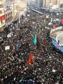 درختان نگذاشتند که جنگل دیده شود ( طنز)