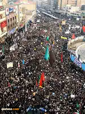 درختان نگذاشتند که جنگل دیده شود ( طنز)