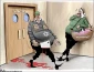 بدون تعلیق