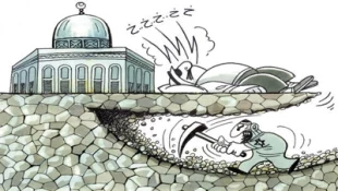 بدون تعلیق