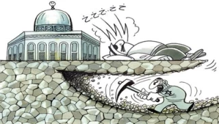 بدون تعلیق