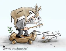 بدون تعلیق