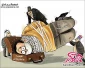الإستــیــطــان