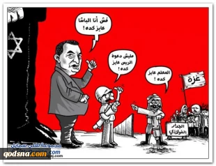 الباشا عایز کدة.....