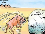 صخرة ارادة الشعب المصری