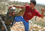 الشباب یرید تحریر فلسطین