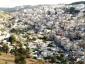 أبو دیاب لـ