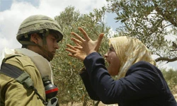 الفلسطینیون فی مواجهة الإسرائیلیین سکاناً