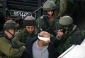 بازداشت 7 شهروند فلسطینی