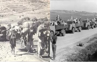 حمایت 75 درصدی بازماندگان یوم النکبه