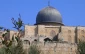 ادبای فلسطینی اهانت به قران مجید در داخل مسجد الاقصی را محکوم کردند