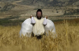 حریدی ها وفلسطینیان فقیرتر شده اند