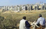 Israeli settlement building up by 176%