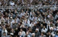 مبارزه برای ازادی فلسطین ازاصول امام