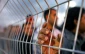 9 Palestinian captives serving longest sentences on earth