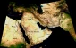 حزب الله تنها نگرانی اسرائیل