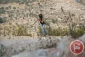 سرکوب تظاهرات هفتگی فلسطینی ها