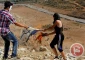 سرکوب تظاهرات هفتگی فلسطینی ها