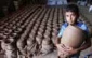 100 thousand child laborers in Palestine