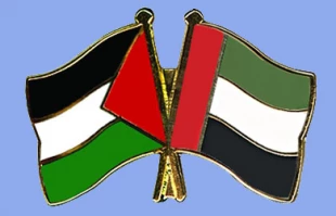 امارات300میلیون درهم به فلسطین کمک میکند