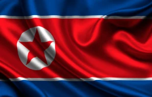 North Korea: we did not help Hamas and Hezbollah