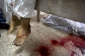 UNRWA: Israel should be accountable