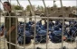 Latest figures on Palestinian captives