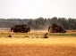 Israeli bulldozers enter border area in southern Gaza