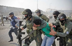 380 Palestinians arrested by Israeli forces in last 20 days