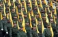 Zionist historian: War with Hezbollah is imminent