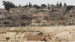 Netanyahu years see more settlement growth
