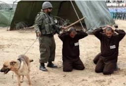 6059 Palestinians kidnapped in 2014