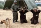 6059 Palestinians kidnapped in 2014